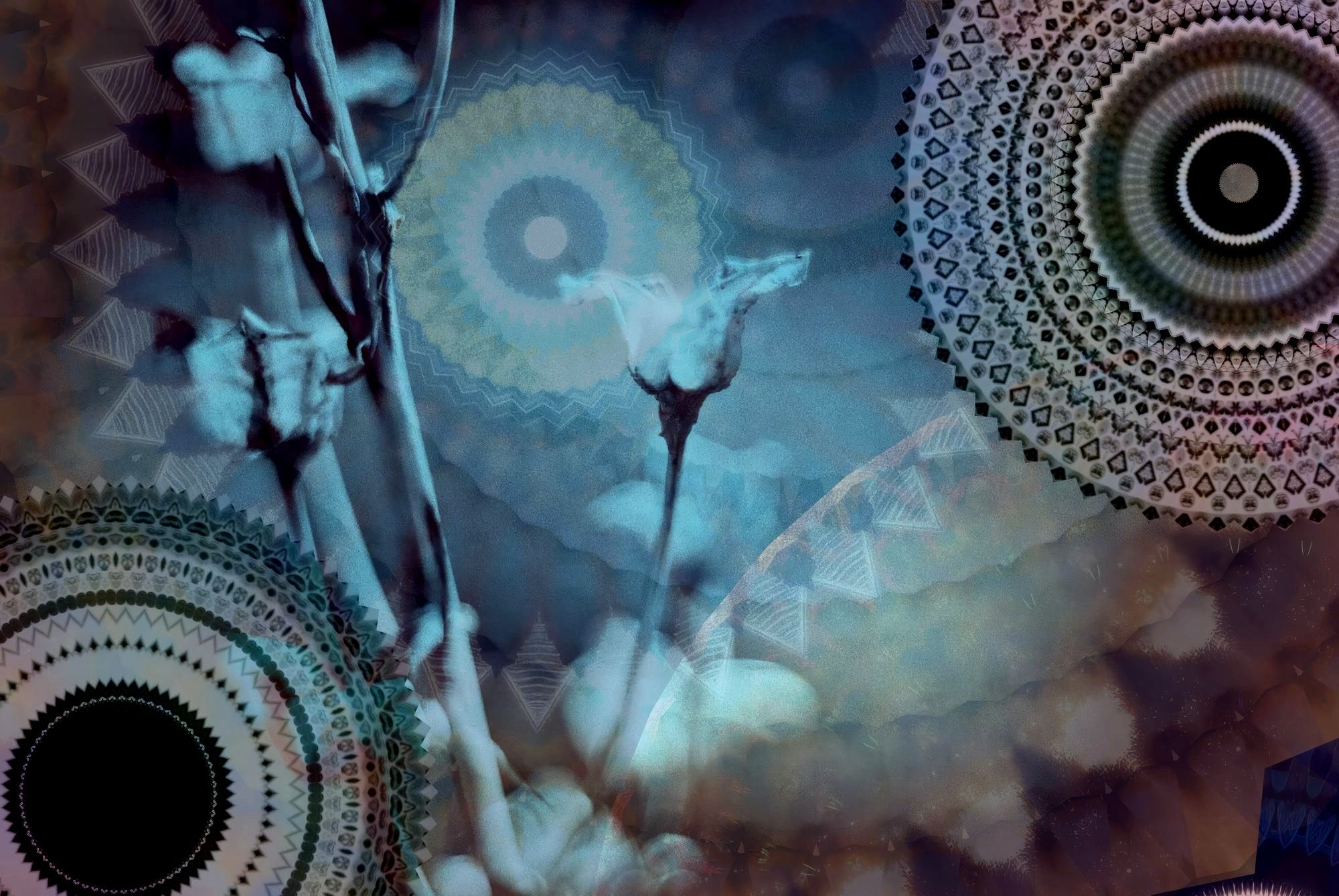 The Essence of Soma and how to Cultivate Soma