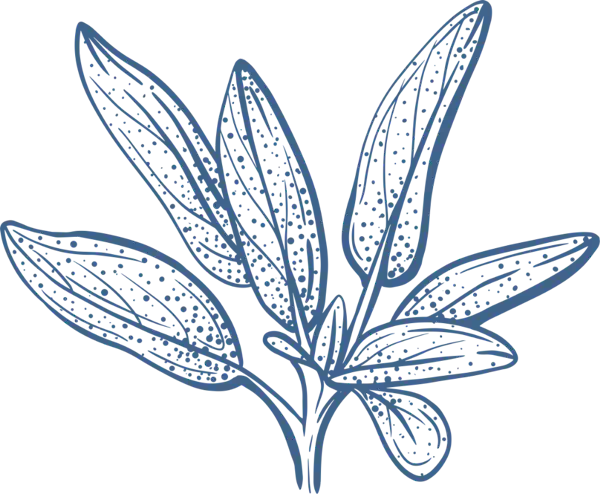 Sage Blue