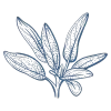 Sage.blue