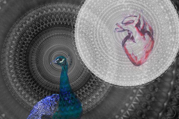 Heart-Kidney Axis and the Central Channels
