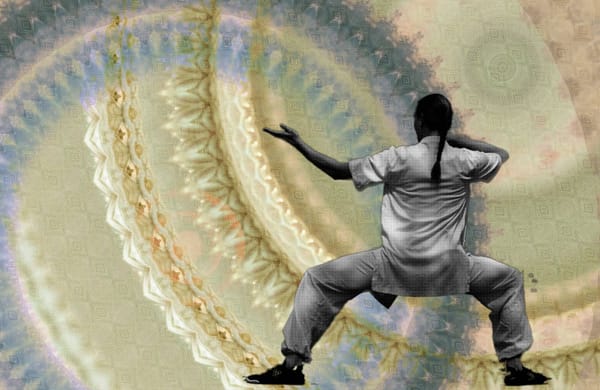 Taijiquan 13 Steps Tutorial Episode 1